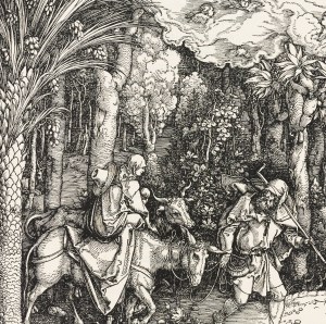 Albret Durer woods