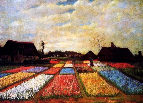 van gogh tulip fields in Holland