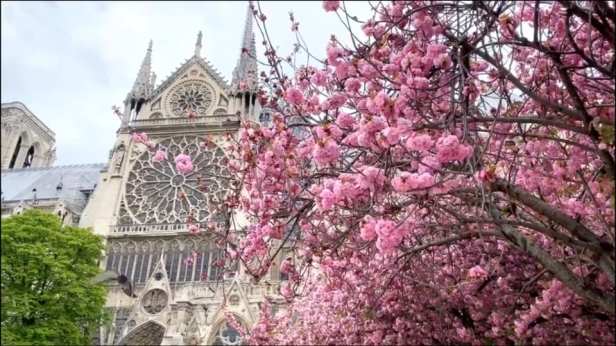 notre dame 1 week before fire