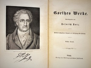 goethe gedichte